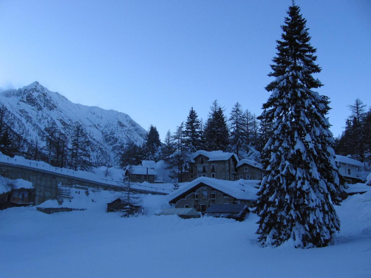 Chalet Del Lago 切雷索莱雷阿莱 外观 照片