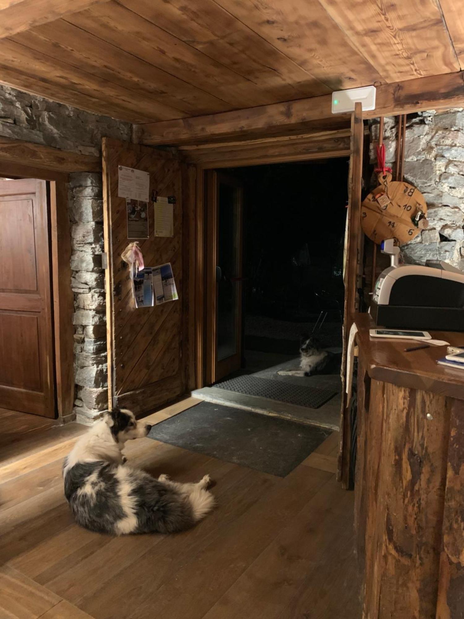 Chalet Del Lago 切雷索莱雷阿莱 外观 照片